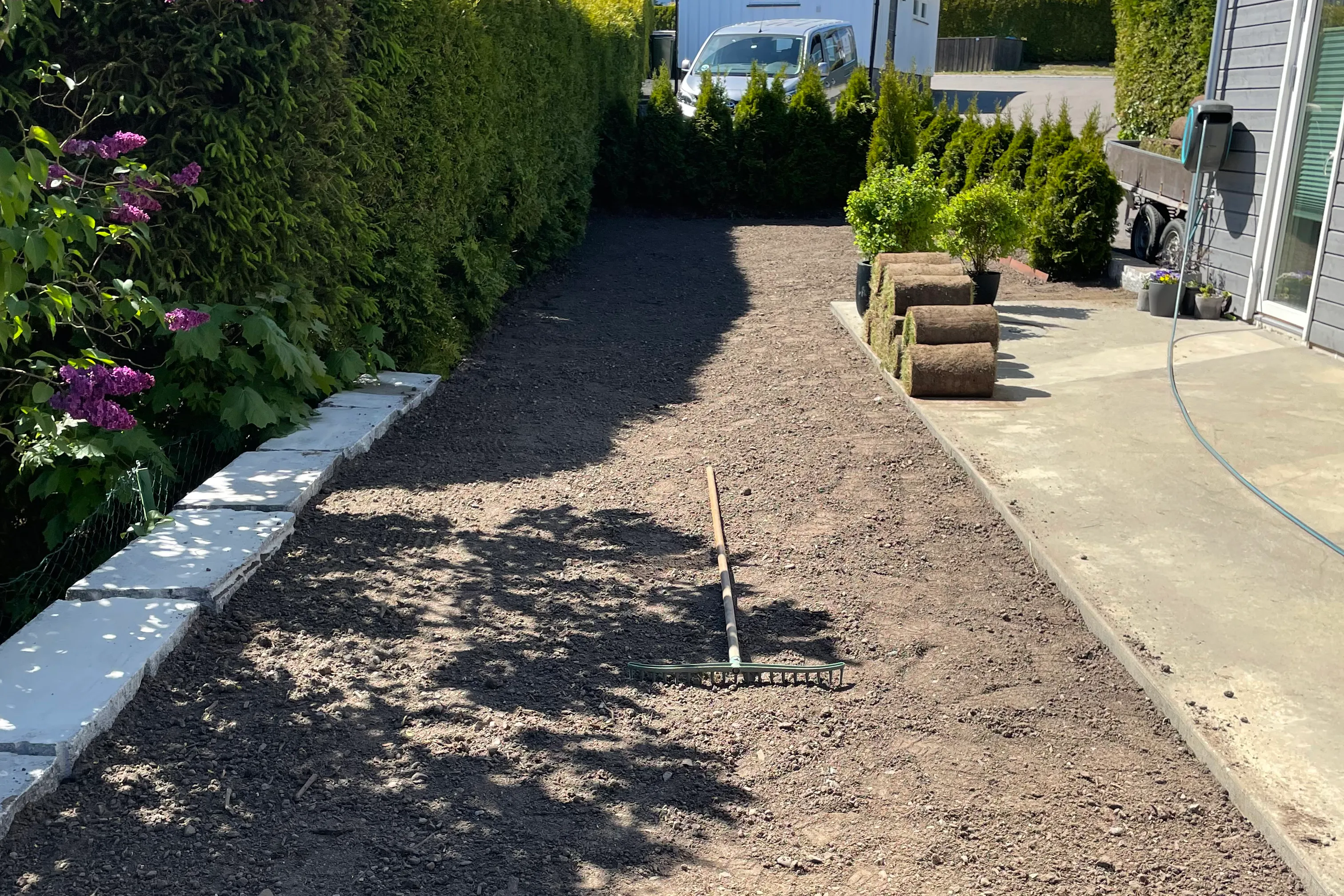 Ferdig klargjort og finrakt jordbed med rake, klart for legging av ferdigplen
